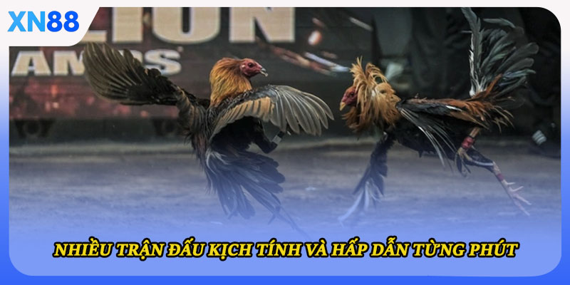 Nhiều trận đấu kịch tính và hấp dẫn từng phút